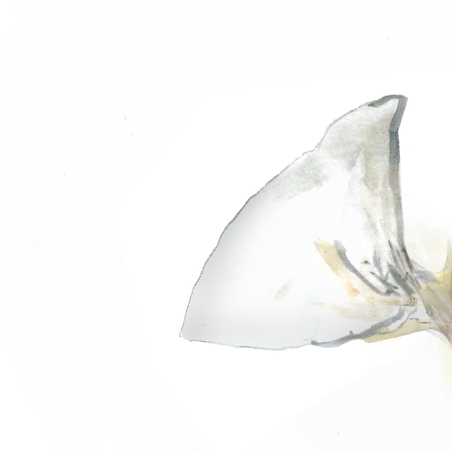 Butterscotch II Print