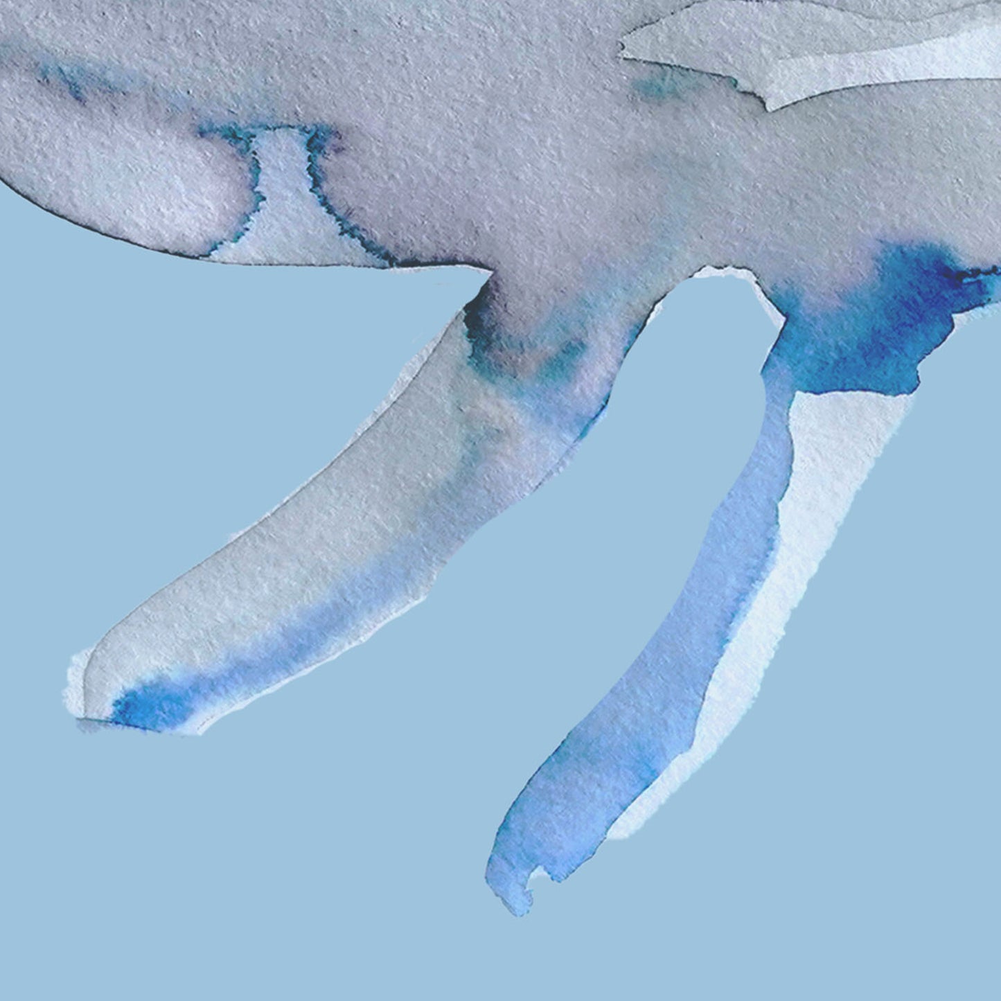 Whale Watercolor Poster | La Baleine
