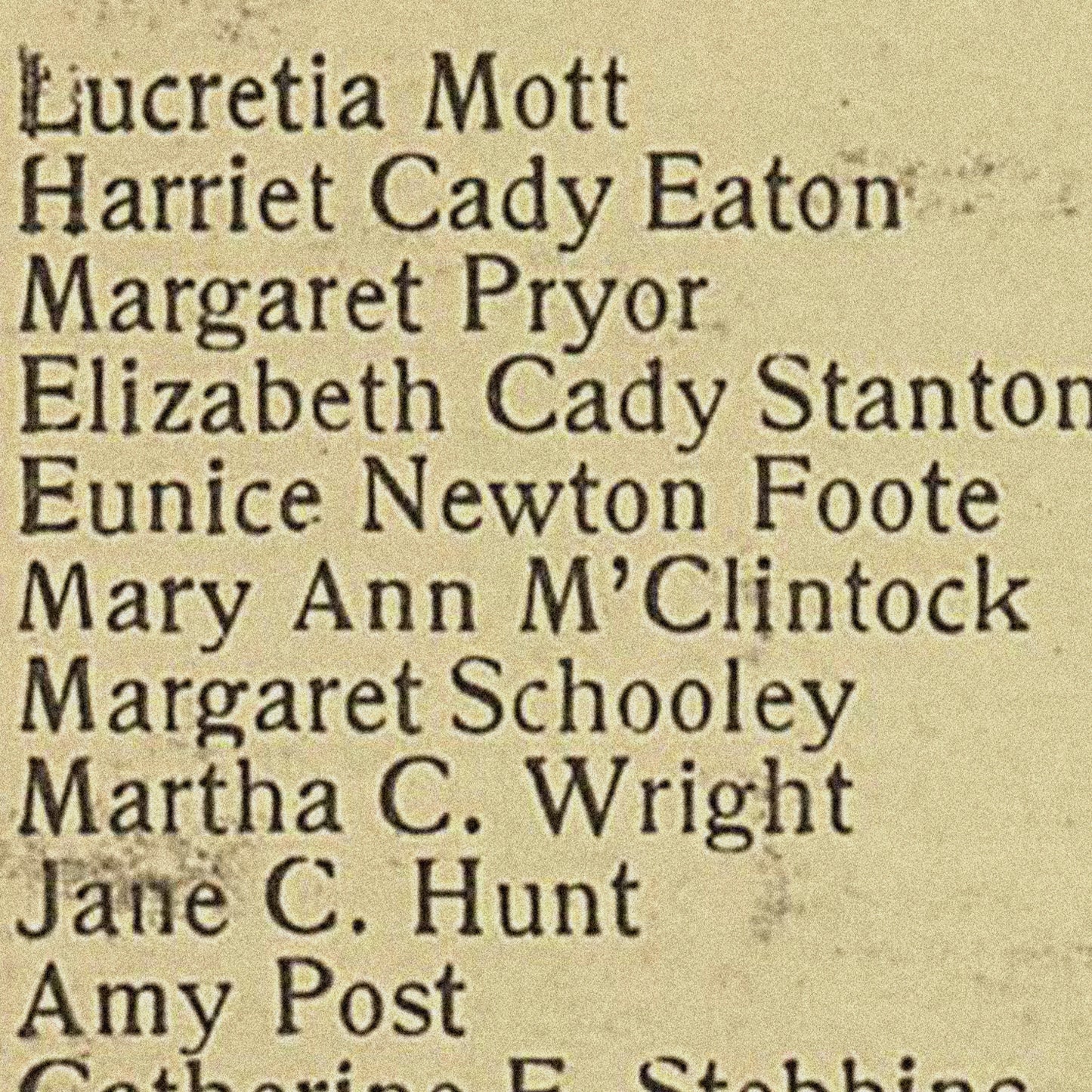 Women's Rights Convention Print