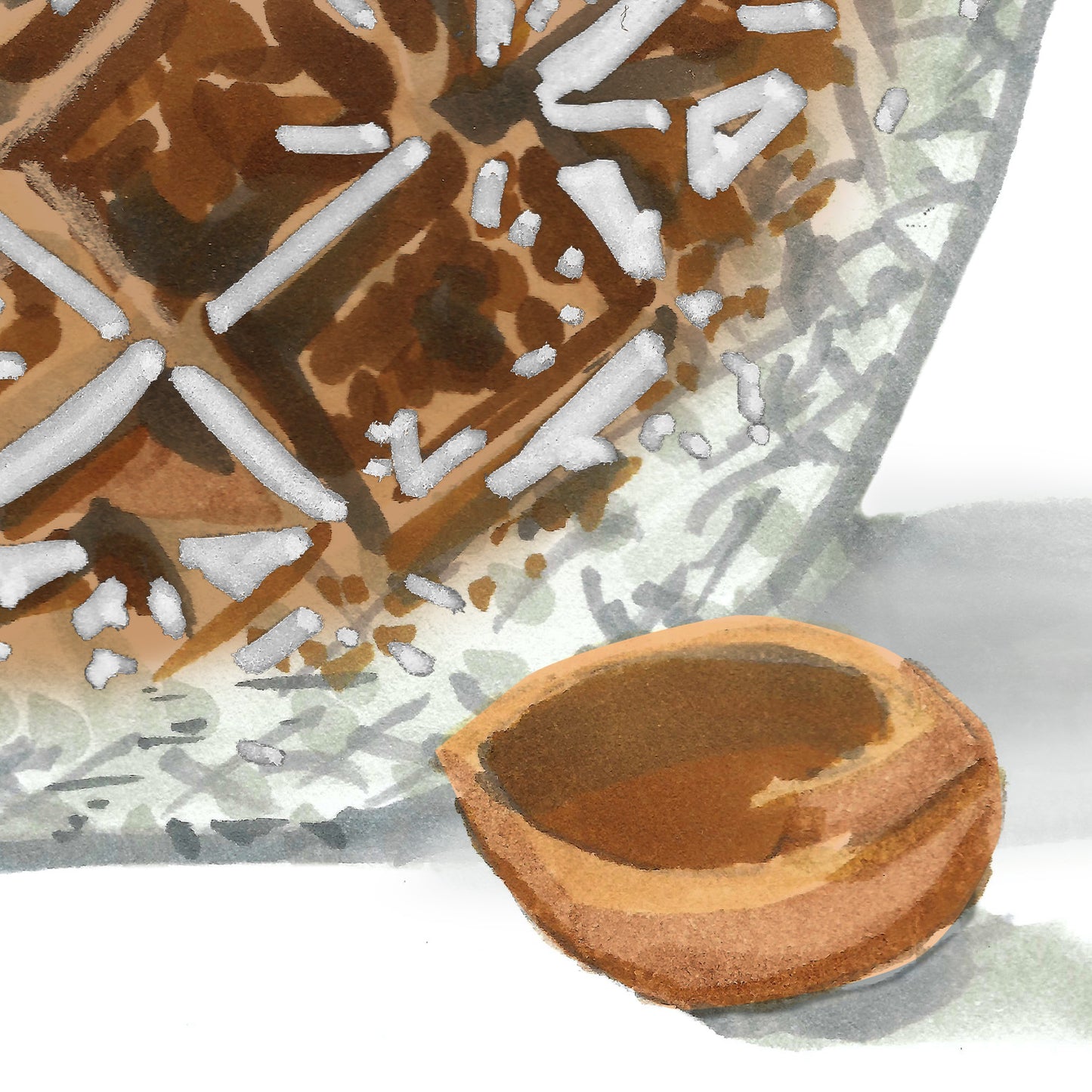 Pecans & Nutcracker