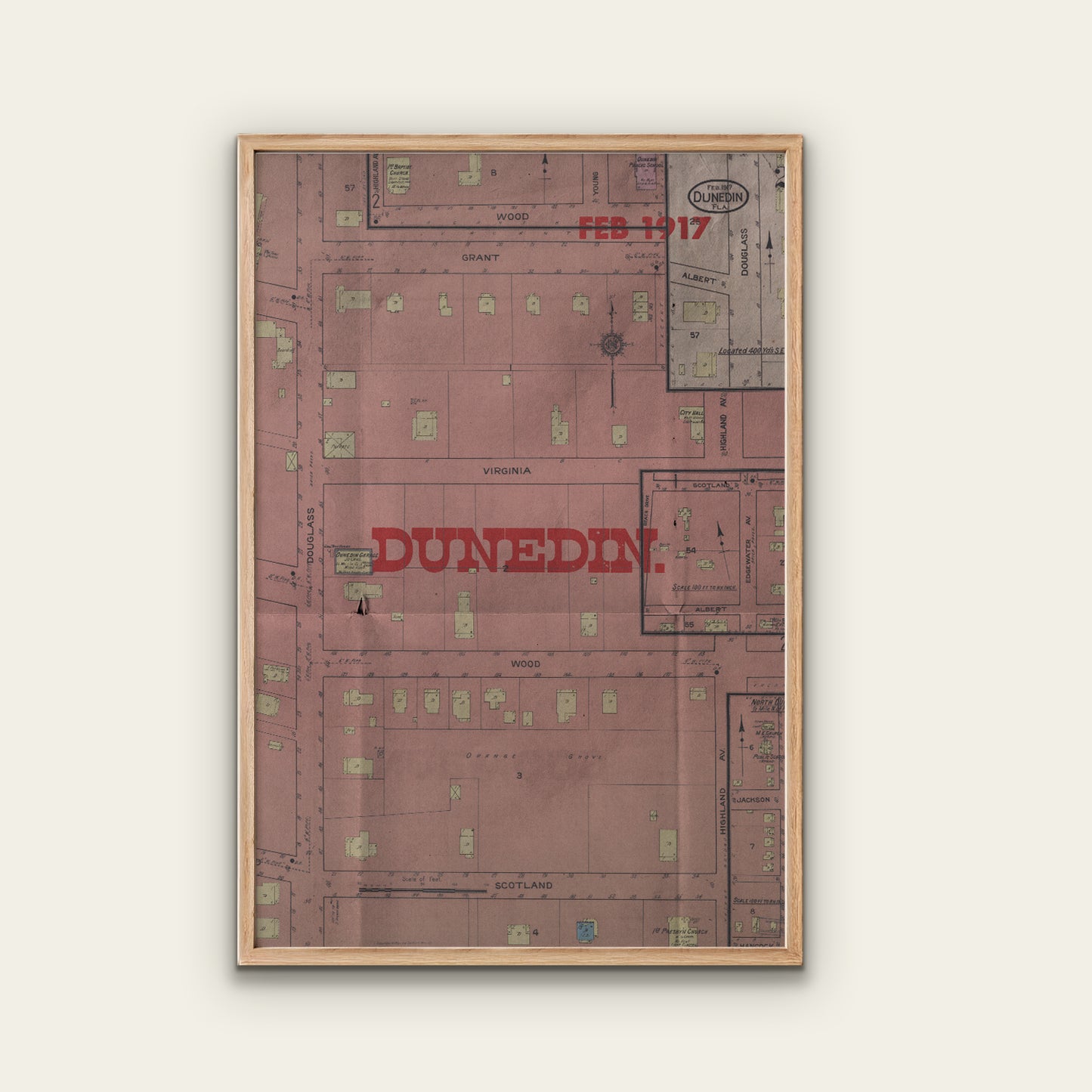 Dunedin Map