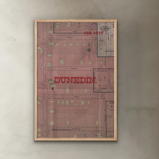 Dunedin Map