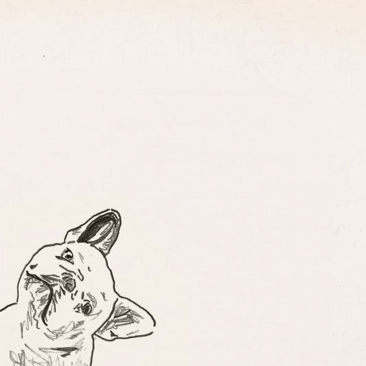 French Bulldog Sketches Print