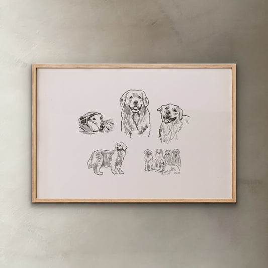 Golden Retriever Sketches Print II
