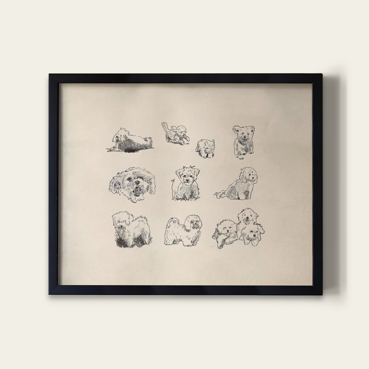 Bolognese Dog Sketches Print