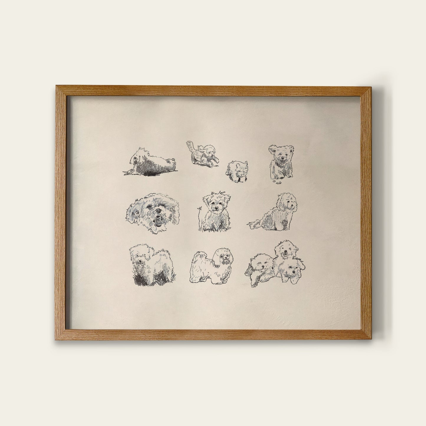 Bolognese Dog Sketches Print