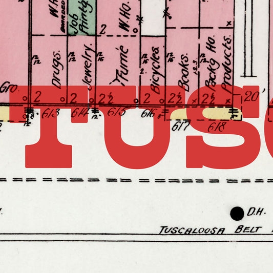 Tuscaloosa Map Postcard