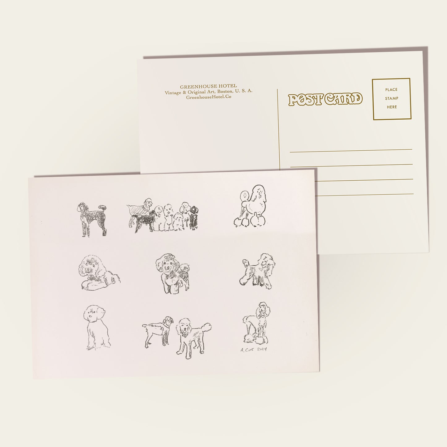 Postcards with illustrations of dogs on a white background