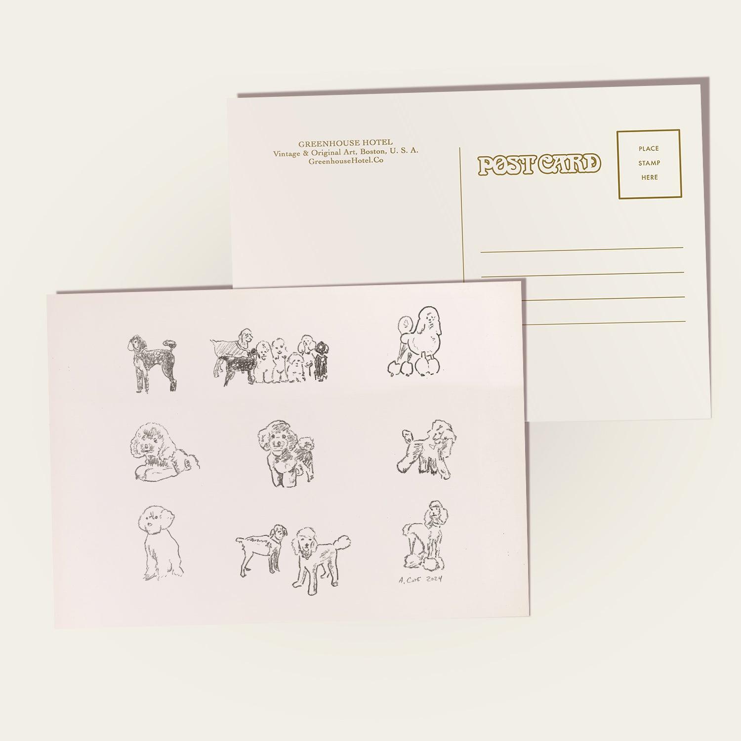 Postcards with illustrations of dogs on a white background