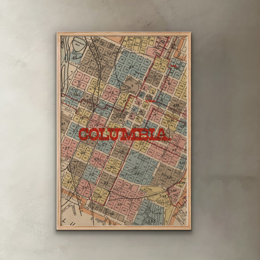 Framed vintage map of Columbia with colorful blocks and red text on a gray wall.