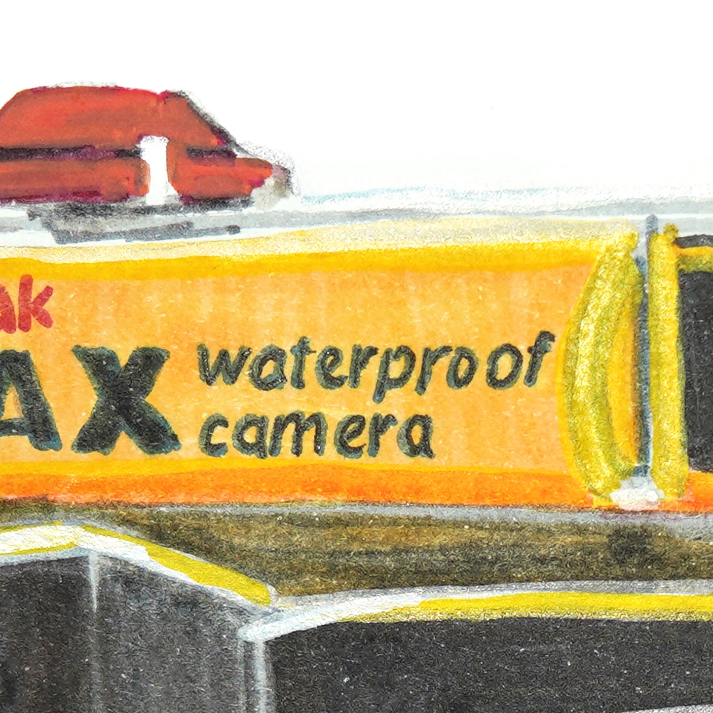 Waterproof Disposable Camera Print