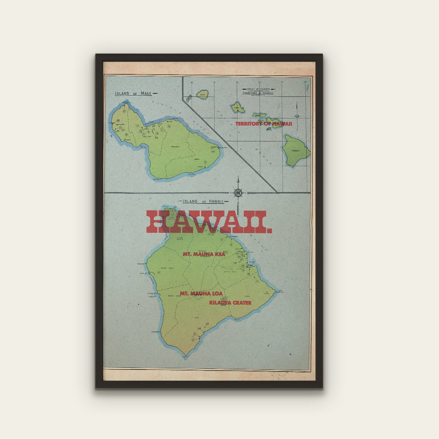 Hawaii State Map I