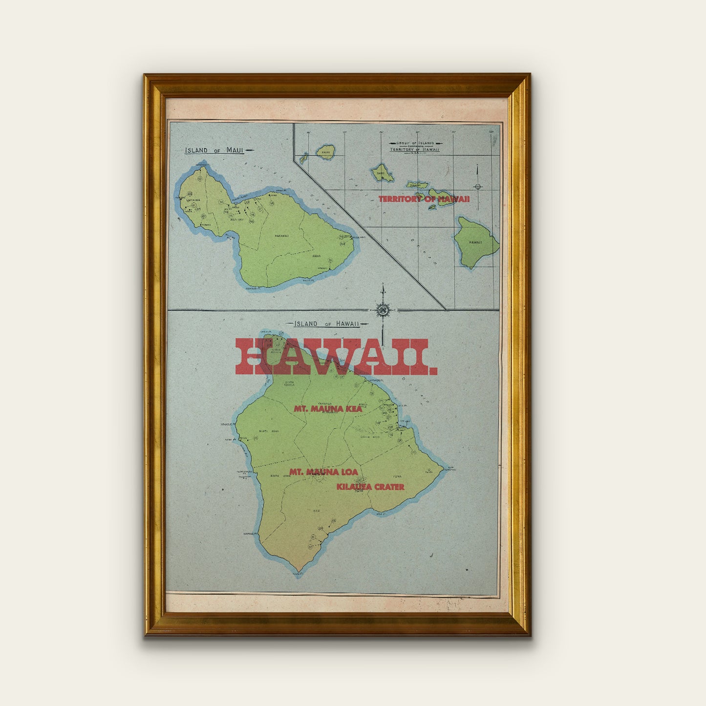 Hawaii State Map I