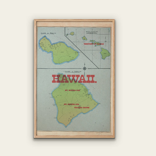 Hawaii State Map I