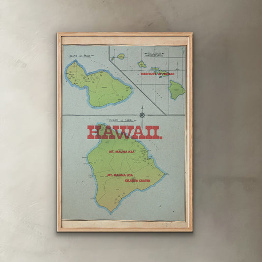Hawaii State Map I