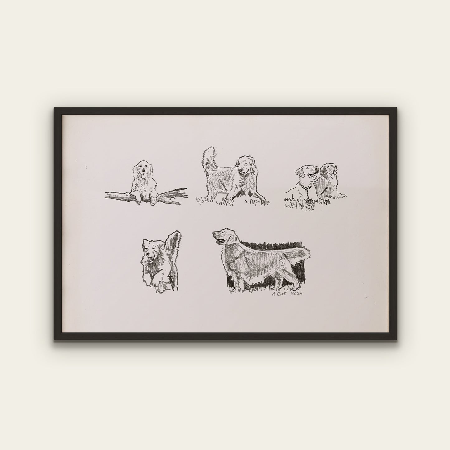 Golden Retriever Sketches Print I