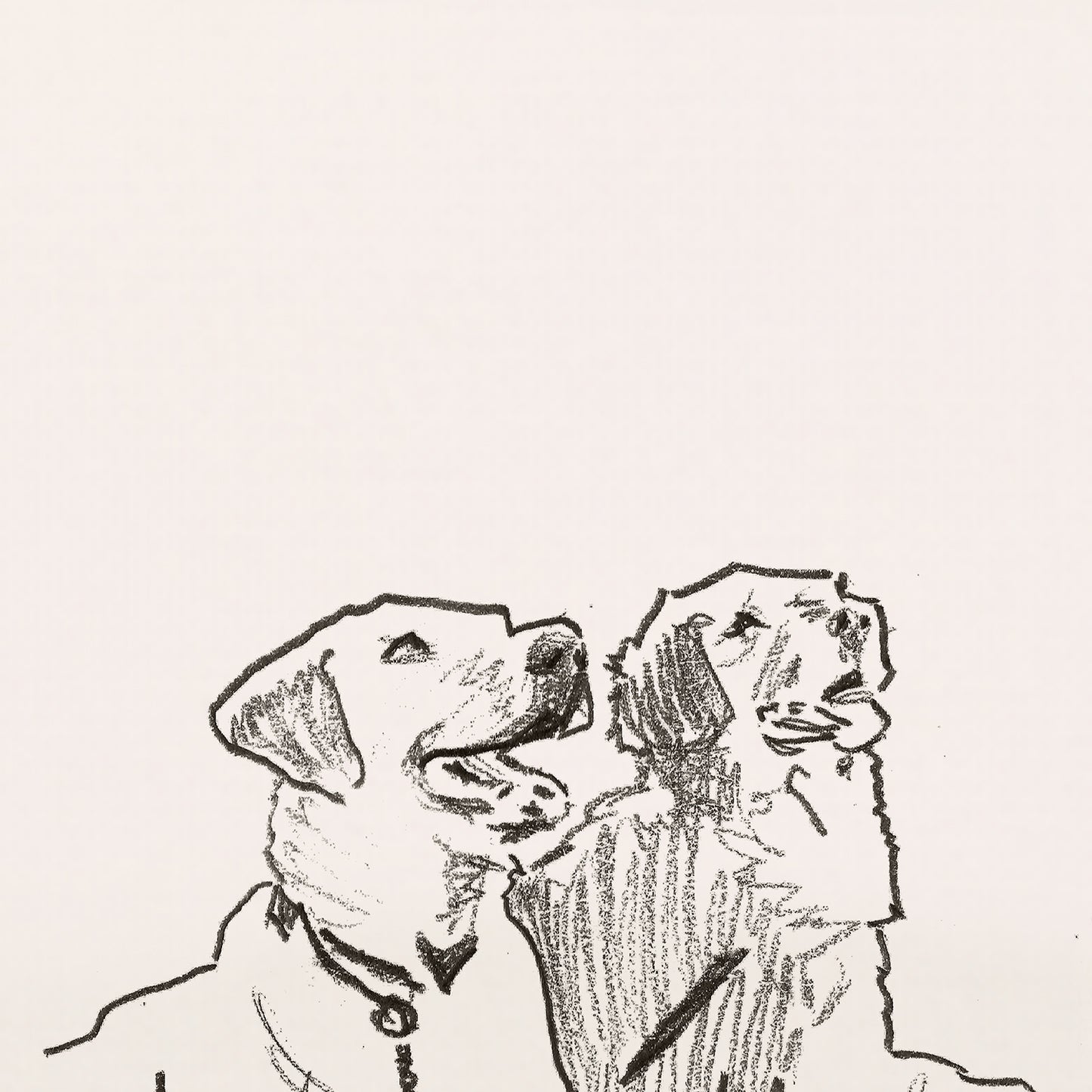 Golden Retriever Sketches Print I