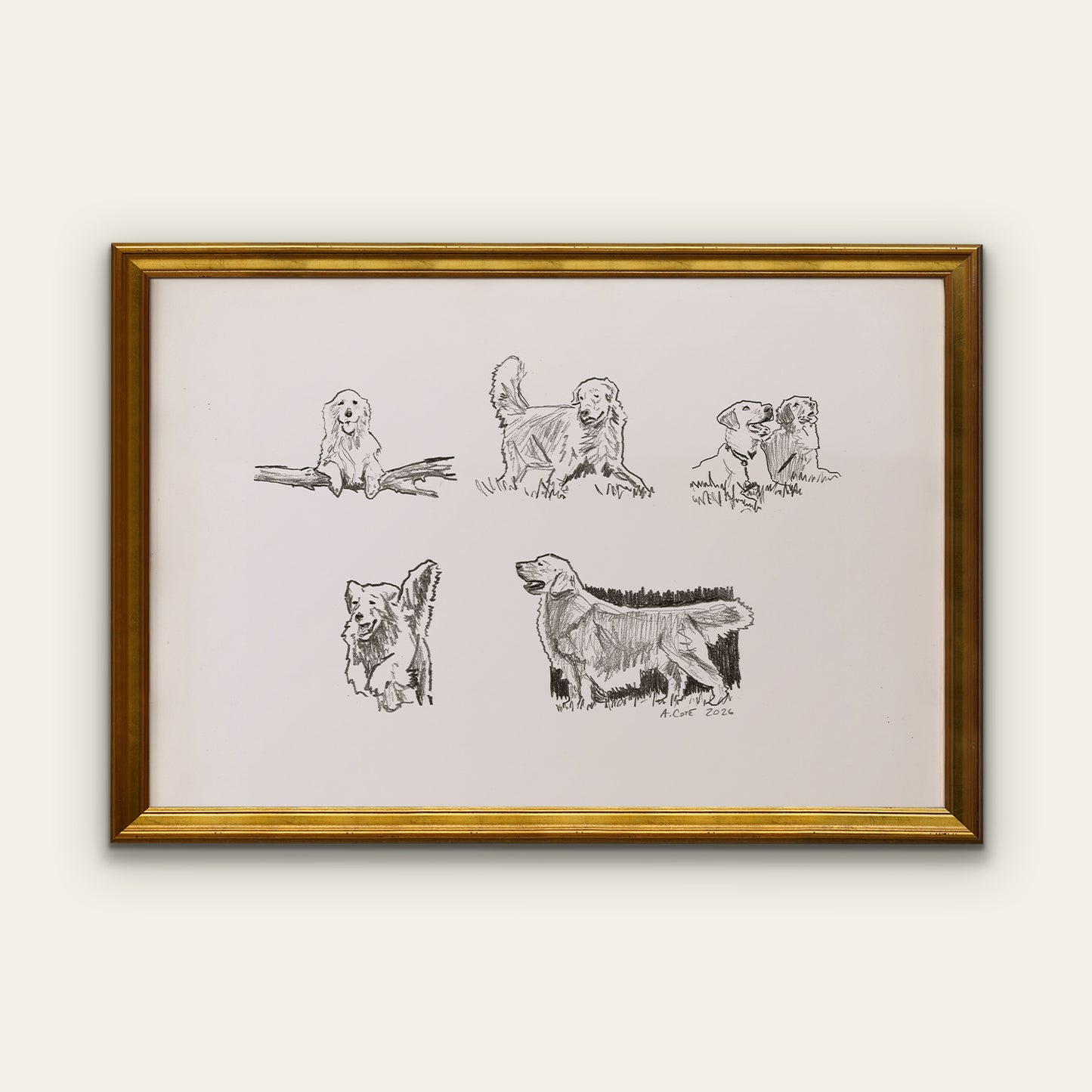 Golden Retriever Sketches Print I