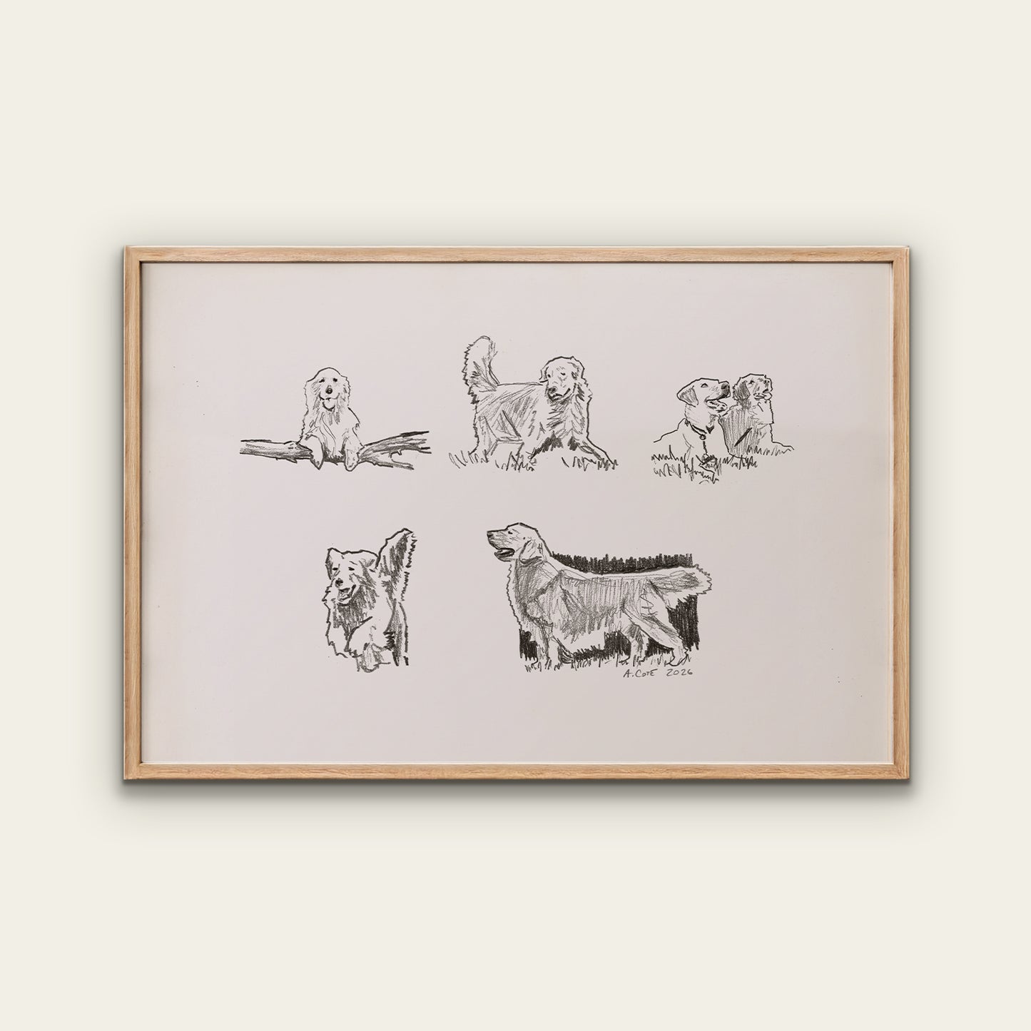 Golden Retriever Sketches Print I