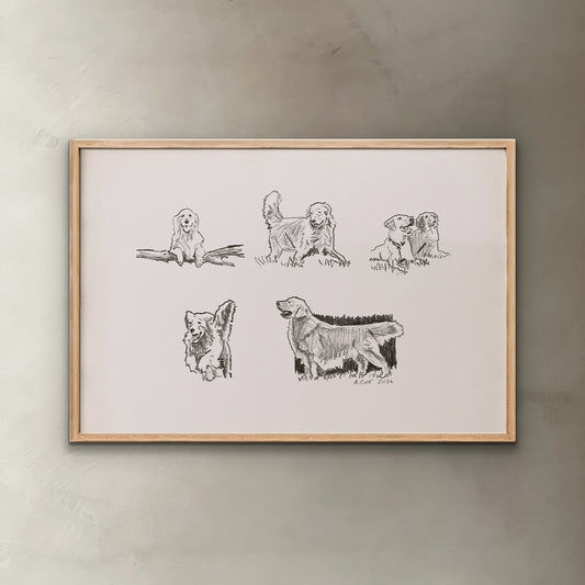 Golden Retriever Sketches Print I