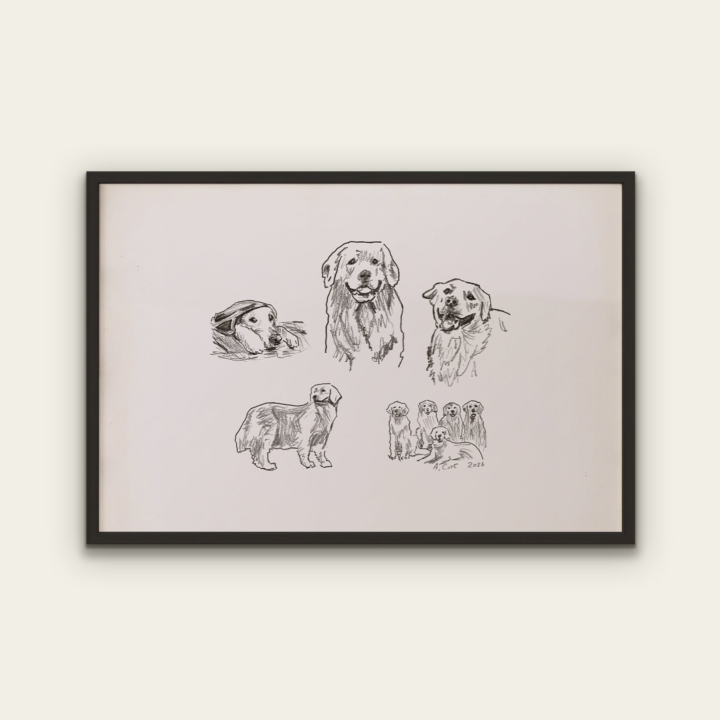 Golden Retriever Sketches Print II