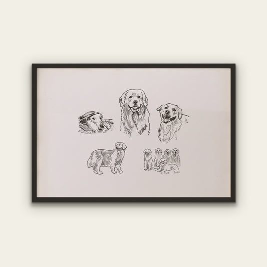 Golden Retriever Sketches Print II