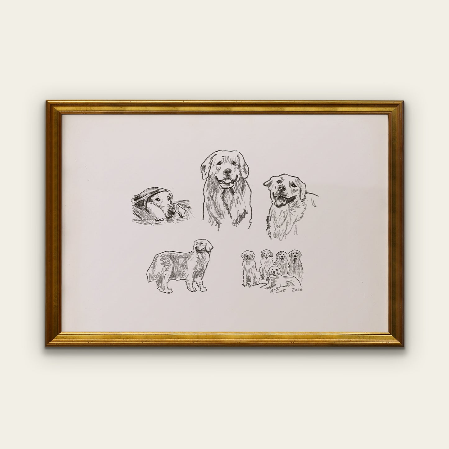 Golden Retriever Sketches Print II