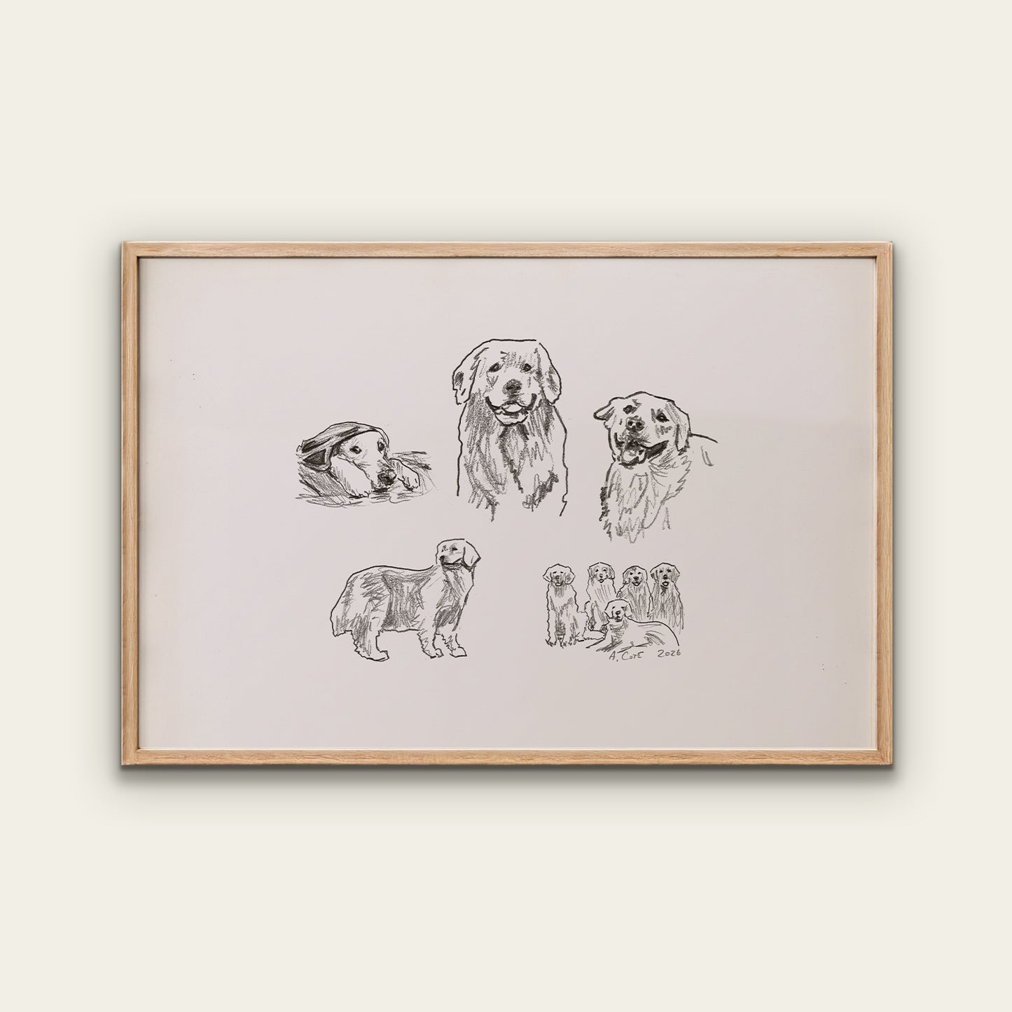 Golden Retriever Sketches Print II