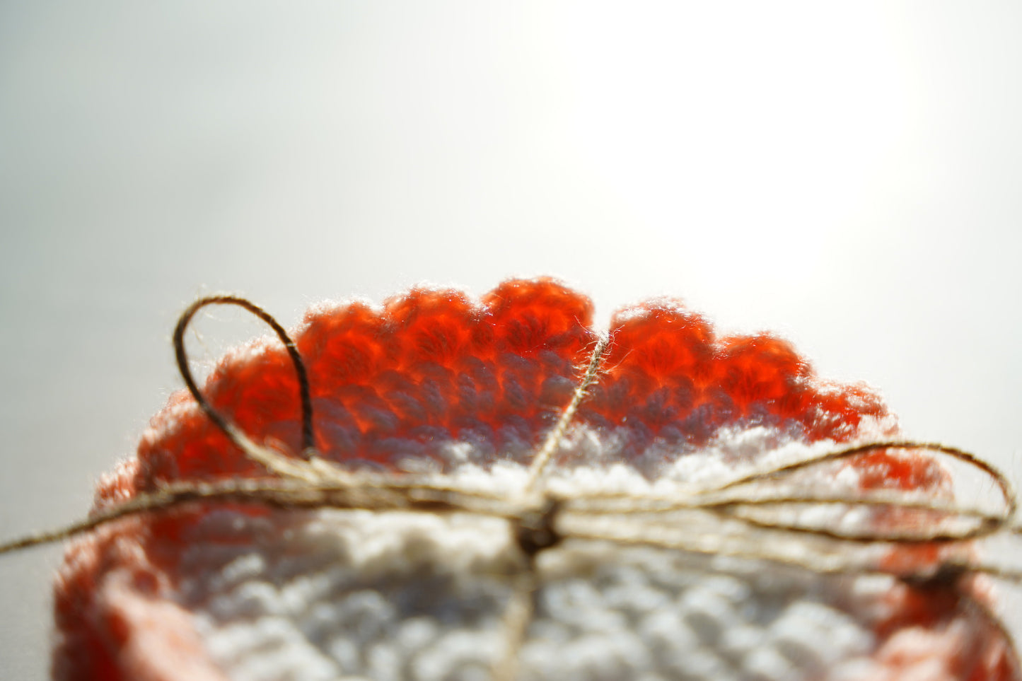 Close-up of a crocheted coaster with a white center tied with twine against a blurred background
