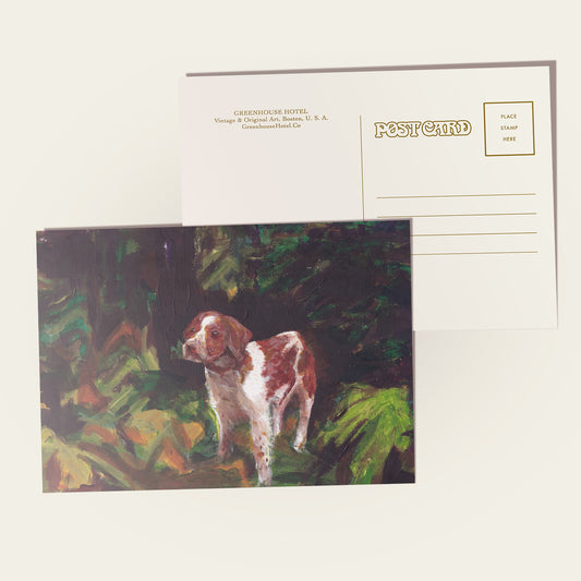 Brittany in the Wild Postcard