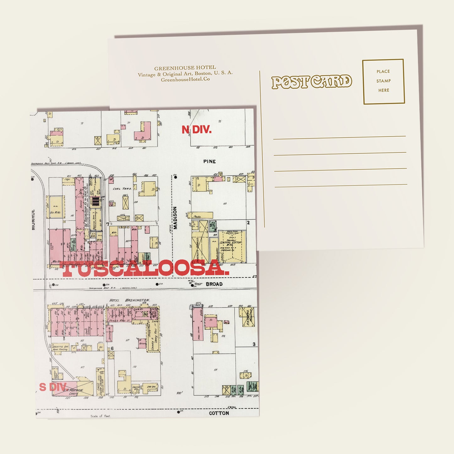Tuscaloosa Map Postcard